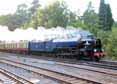 Photograph of TORNADO - 60163 TORNADO at Winchfield on 19/09/13