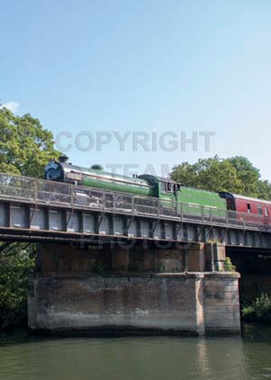 Purchase photo of 61306 MAYFLOWER at Windsor