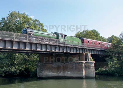 Purchase photo of 61306 MAYFLOWER at Windsor