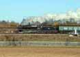 Photograph of Black Five - 44932 Black Five at Worting Junction on 01/03/14