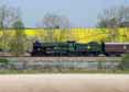 Photograph of EARL OF MOUNT EDGCUMBE - 5043 EARL OF MOUNT EDGCUMBE at Worting Junction on 08/04/17