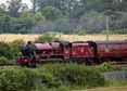 Photograph of GALATEA - 45699 GALATEA at Worting Junction on 09/07/16