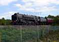 Photograph of OLIVER CROMWELL - 70013 OLIVER CROMWELL at Worting Junction on 21/08/13