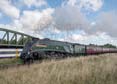 Photograph of UNION OF SOUTH AFRICA - 60009 UNION OF SOUTH AFRICA at Worting Junction on 05/09/19